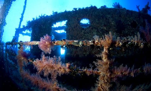 Picture from Fundiving Tulamben Discovery