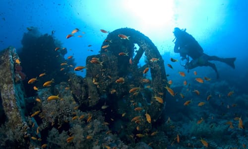 Picture from Fundiving Nusa Penida Discovery