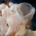Blue Venture gallery - Erich Reboucas