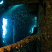 Blue Venture gallery - Erik Larsson