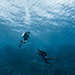 Blue Venture gallery - Henrik Hedegaard