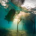 Blue Venture gallery - Henrik Hedegaard