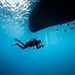Blue Venture gallery - Henrik Hedegaard