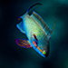Blue Venture gallery - Henrik Hedegaard