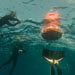 Blue Venture gallery - Luke Inman