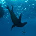 Blue Venture gallery - Luke Inman