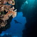 Blue Venture gallery - Mikkel Noe