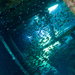 Blue Venture gallery - Mikkel Noe
