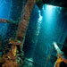Blue Venture gallery - staff picks