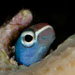 Blue Venture gallery - staff picks
